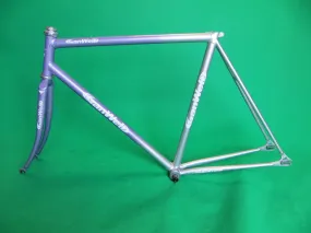GANWELL PRO // silver light purple fade with rainbow flake // 53.5cm