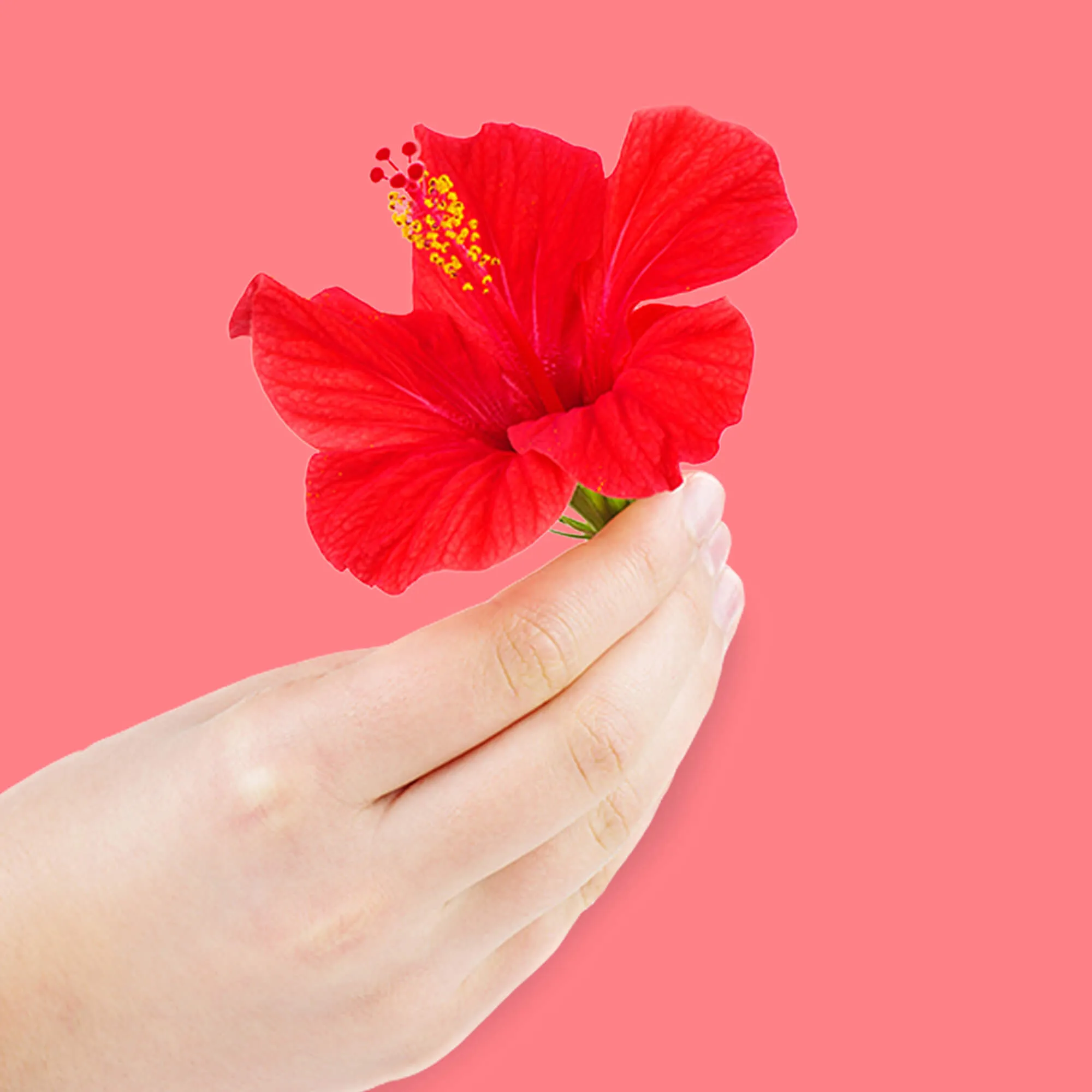 Poo-Pourri - Tropical Hibiscus