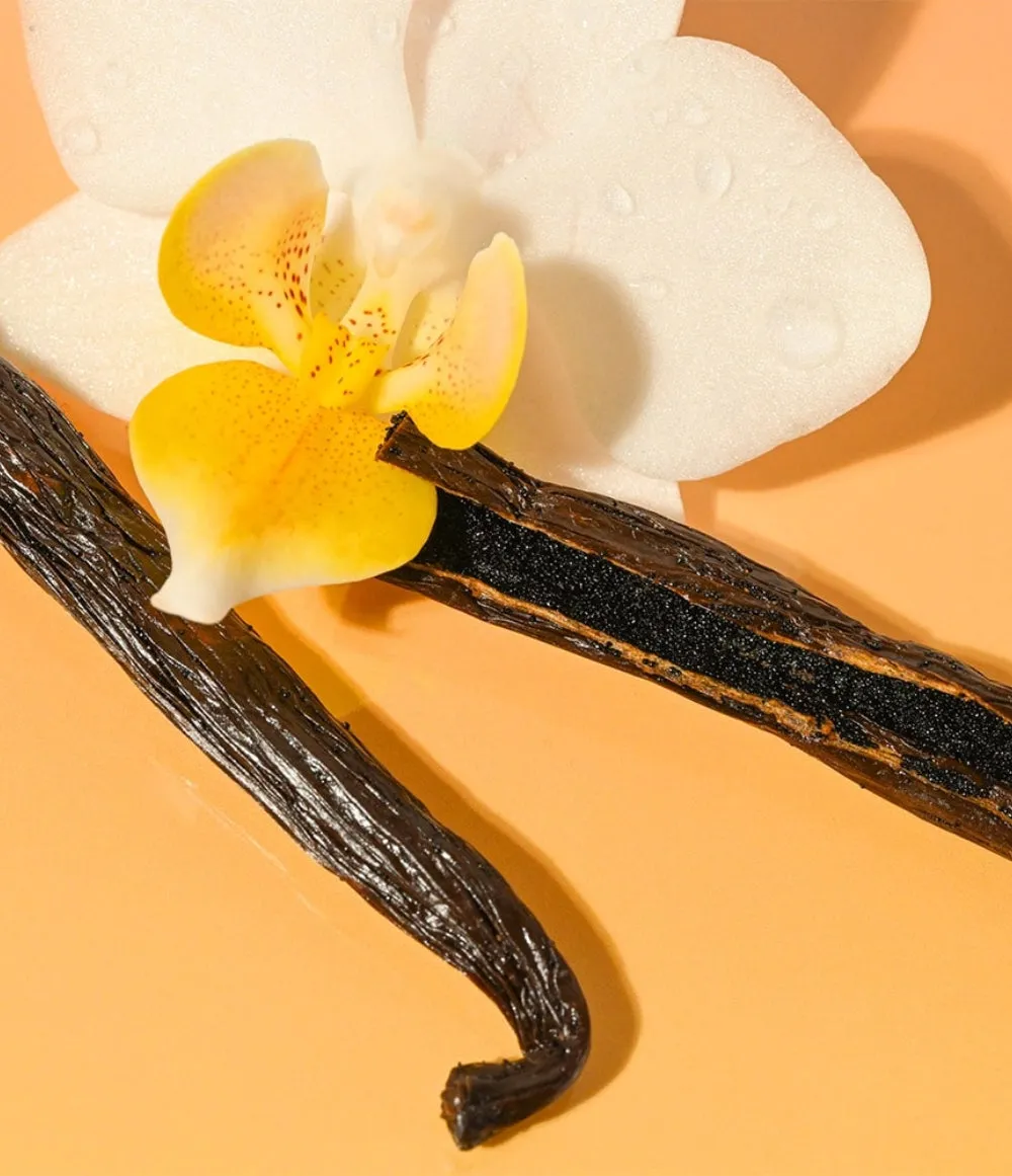 Vanilla Bean Lip Balm